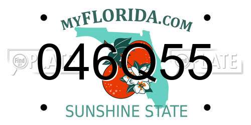 046Q55 Florida License Plate