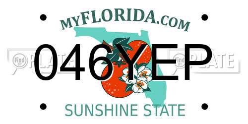 046YEP Florida License Plate