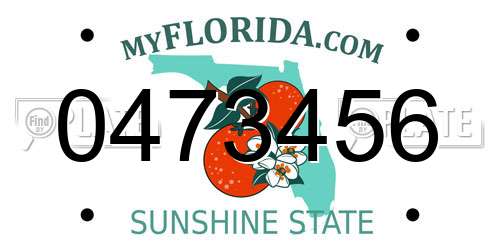 0473456 Florida License Plate