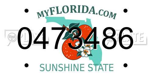 0473486 Florida License Plate