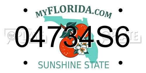 04734S6 Florida License Plate