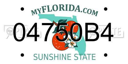 04750B4 Florida License Plate