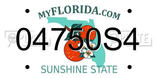 04750S4 Florida License Plate