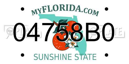 04758B0 Florida License Plate