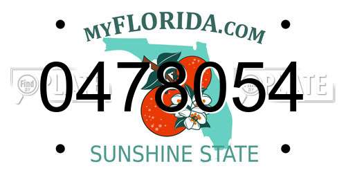 0478054 Florida License Plate