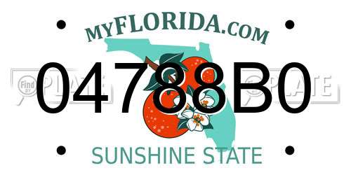 04788B0 Florida License Plate