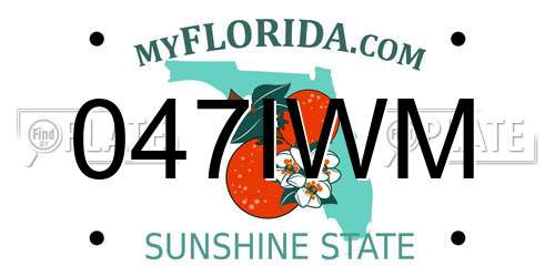 047IWM Florida License Plate