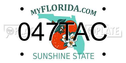 047TAC Florida License Plate