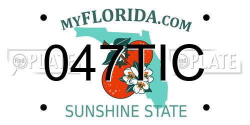 047TIC Florida License Plate
