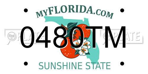 0480TM Florida License Plate