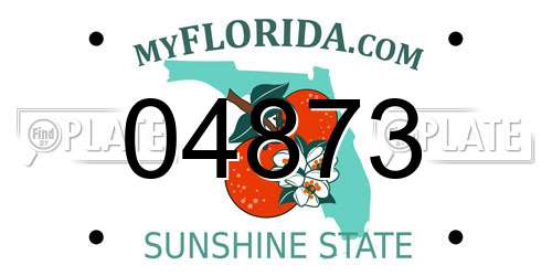 04873 Florida License Plate