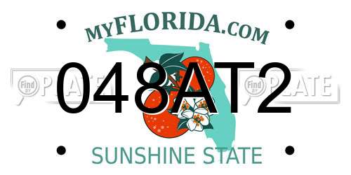 048AT2 Florida License Plate