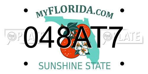 048AT7 Florida License Plate