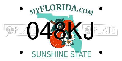 048KJ Florida License Plate