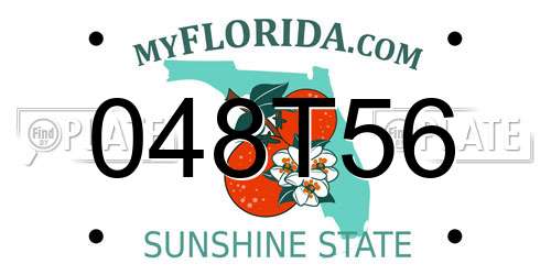 048T56 Florida License Plate