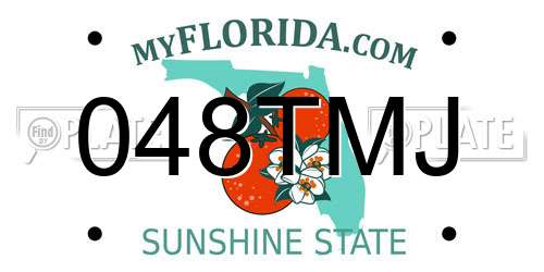 048TMJ Florida License Plate