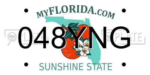 048YNG Florida License Plate