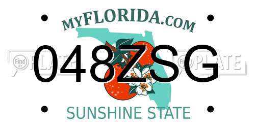 048ZSG Florida License Plate