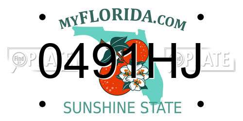 0491HJ Florida License Plate