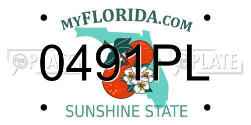 0491PL Florida License Plate