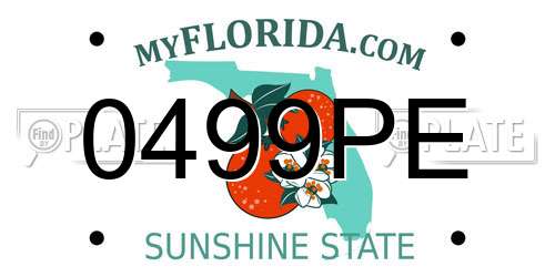 0499PE Florida License Plate