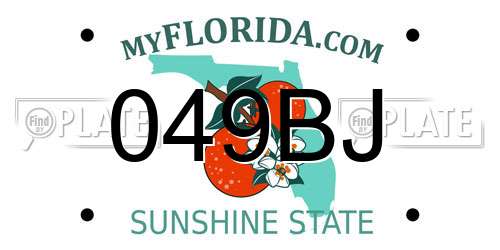 049BJ Florida License Plate