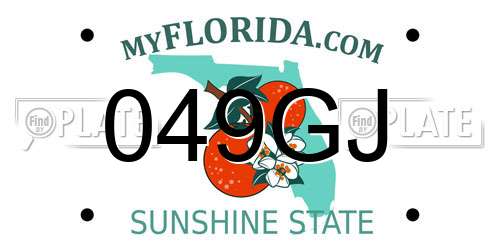 049GJ Florida License Plate