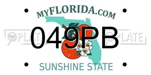 049PB Florida License Plate