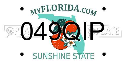 049QIP Florida License Plate