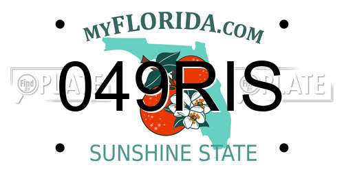 049RIS Florida License Plate