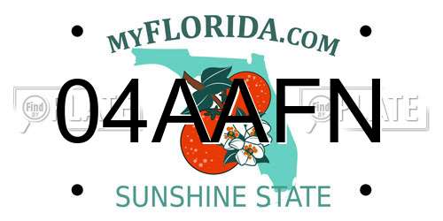 04AAFN Florida License Plate