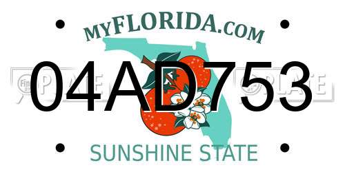 04AD753 Florida License Plate
