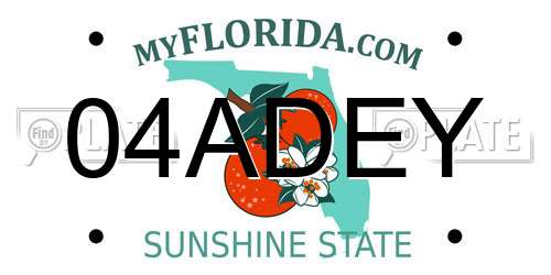 04ADEY Florida License Plate