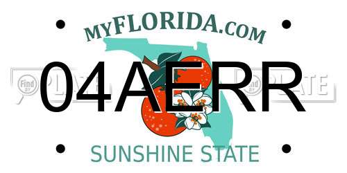 04AERR Florida License Plate
