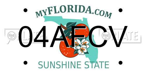 04AFCV Florida License Plate