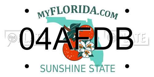 04AFDB Florida License Plate