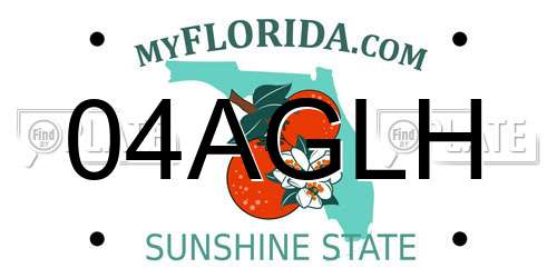 04AGLH Florida License Plate