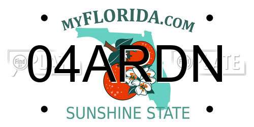 04ARDN Florida License Plate