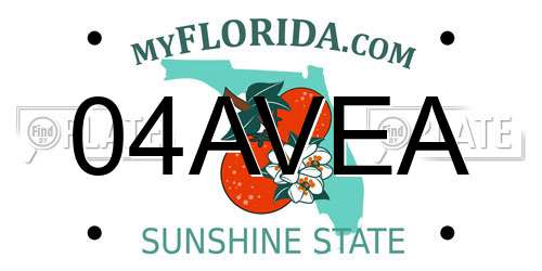 04AVEA Florida License Plate