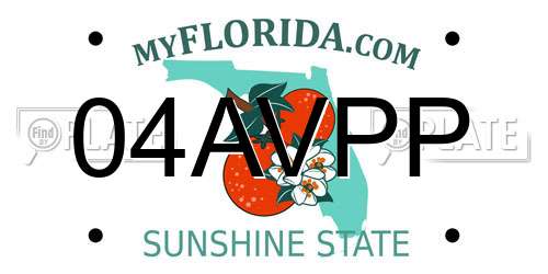 04AVPP Florida License Plate
