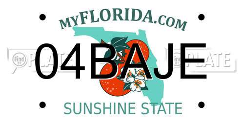 04BAJE Florida License Plate