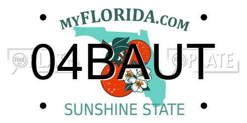 04BAUT Florida License Plate