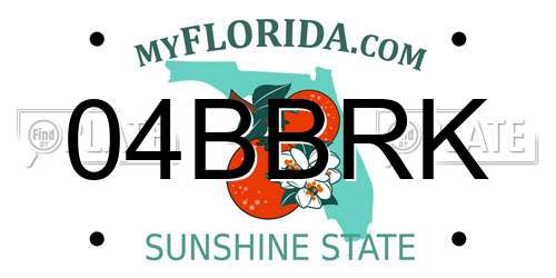04BBRK Florida License Plate
