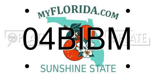 04BIBM Florida License Plate