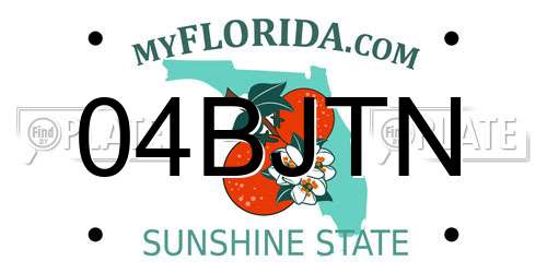 04BJTN Florida License Plate