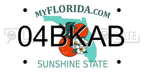 04BKAB Florida License Plate