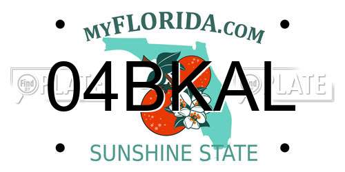 04BKAL Florida License Plate