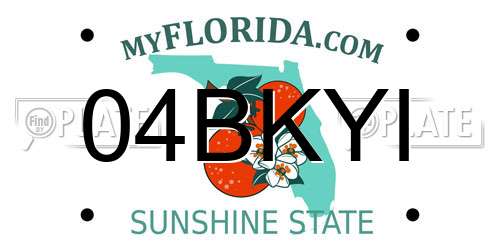 04BKYI Florida License Plate