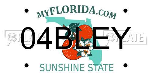 04BLEY Florida License Plate
