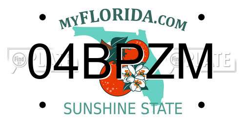 04BPZM Florida License Plate